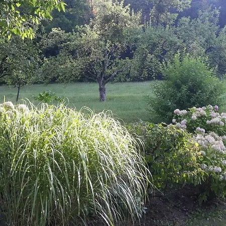 Alloggio per agriturismo Turisticna Kmetija Zerovc Bled