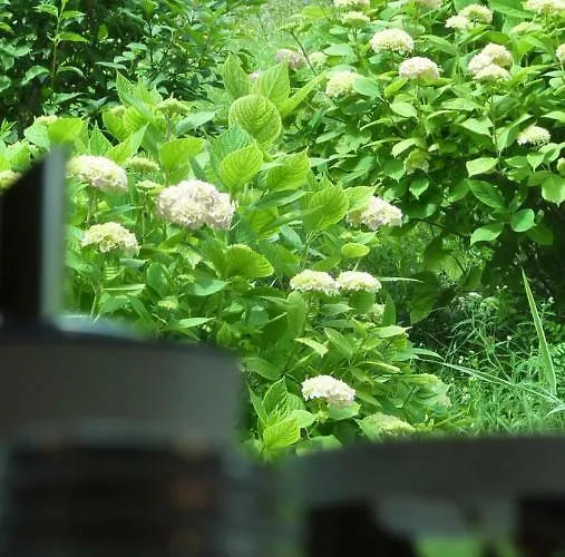 Turisticna Kmetija Zerovc